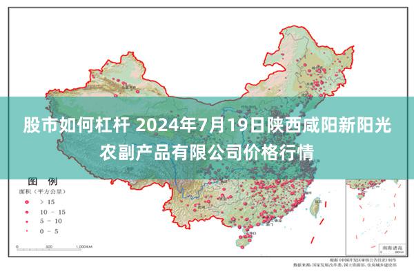 股市如何杠杆 2024年7月19日陕西咸阳新阳光农副产品有限公司价格行情