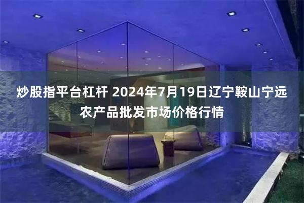 炒股指平台杠杆 2024年7月19日辽宁鞍山宁远农产品批发市场价格行情