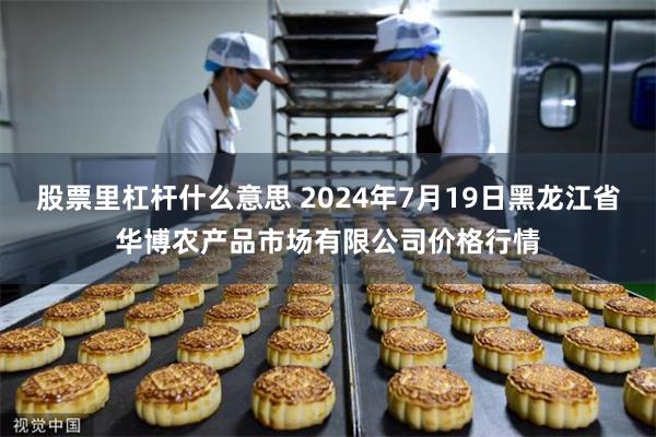 股票里杠杆什么意思 2024年7月19日黑龙江省华博农产品市场有限公司价格行情