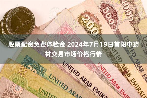 股票配资免费体验金 2024年7月19日首阳中药材交易市场价格行情