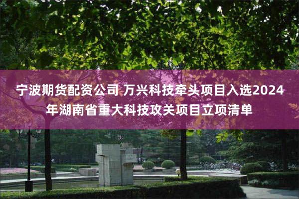 宁波期货配资公司 万兴科技牵头项目入选2024年湖南省重大科技攻关项目立项清单