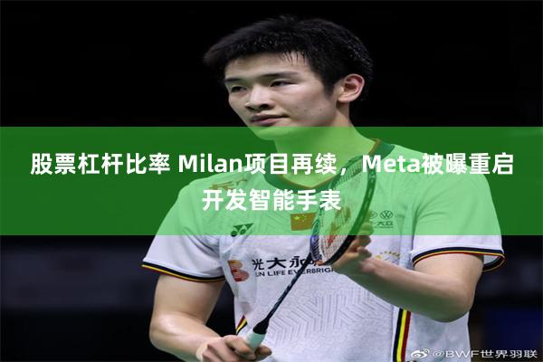 股票杠杆比率 Milan项目再续，Meta被曝重启开发智能手表