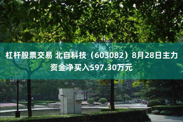 杠杆股票交易 北自科技（603082）8月28日主力资金净买入597.30万元