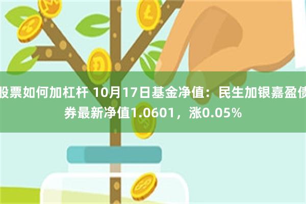 股票如何加杠杆 10月17日基金净值：民生加银嘉盈债券最新净值1.0601，涨0.05%