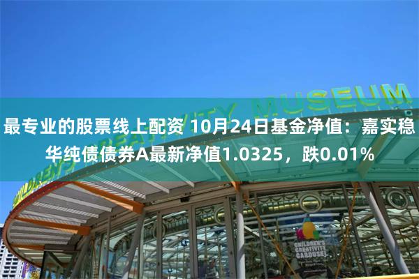 最专业的股票线上配资 10月24日基金净值：嘉实稳华纯债债券A最新净值1.0325，跌0.01%