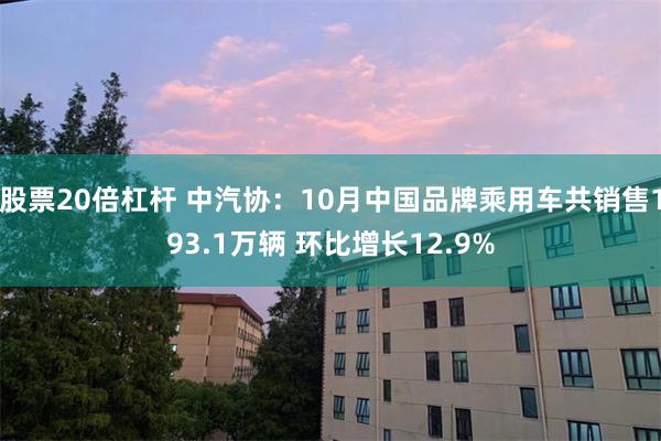 股票20倍杠杆 中汽协：10月中国品牌乘用车共销售193.1万辆 环比增长12.9%