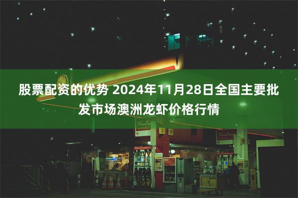 股票配资的优势 2024年11月28日全国主要批发市场澳洲龙虾价格行情