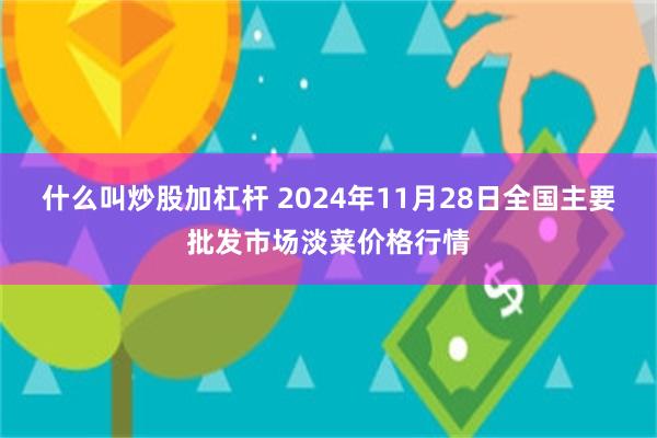 什么叫炒股加杠杆 2024年11月28日全国主要批发市场淡菜价格行情