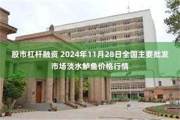 股市杠杆融资 2024年11月28日全国主要批发市场淡水鲈鱼价格行情