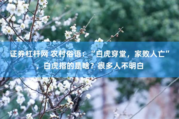 证券杠杆网 农村俗语：“白虎穿堂，家败人亡”，白虎指的是啥？很多人不明白