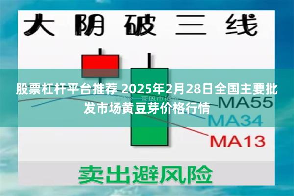 股票杠杆平台推荐 2025年2月28日全国主要批发市场黄豆芽价格行情