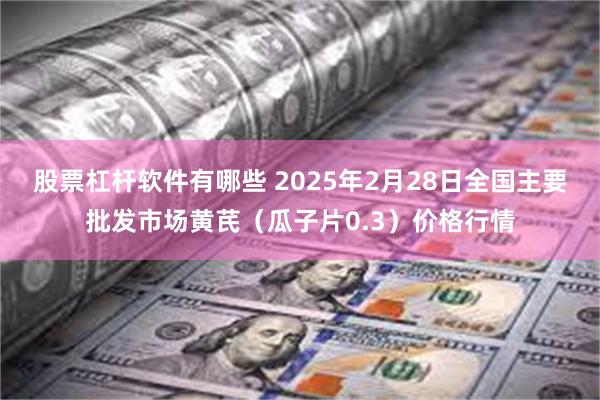 股票杠杆软件有哪些 2025年2月28日全国主要批发市场黄芪（瓜子片0.3）价格行情